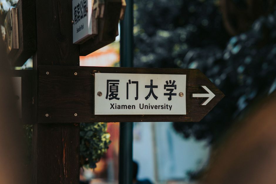 西湖龙井最好三个牌子相关图片