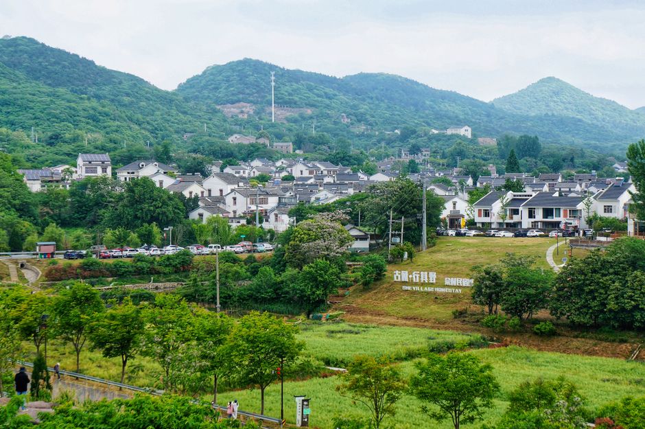 揭秘西湖龙井：产地之谜