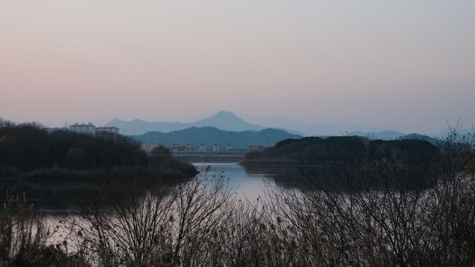 西湖龙井来自哪个城市相关图片