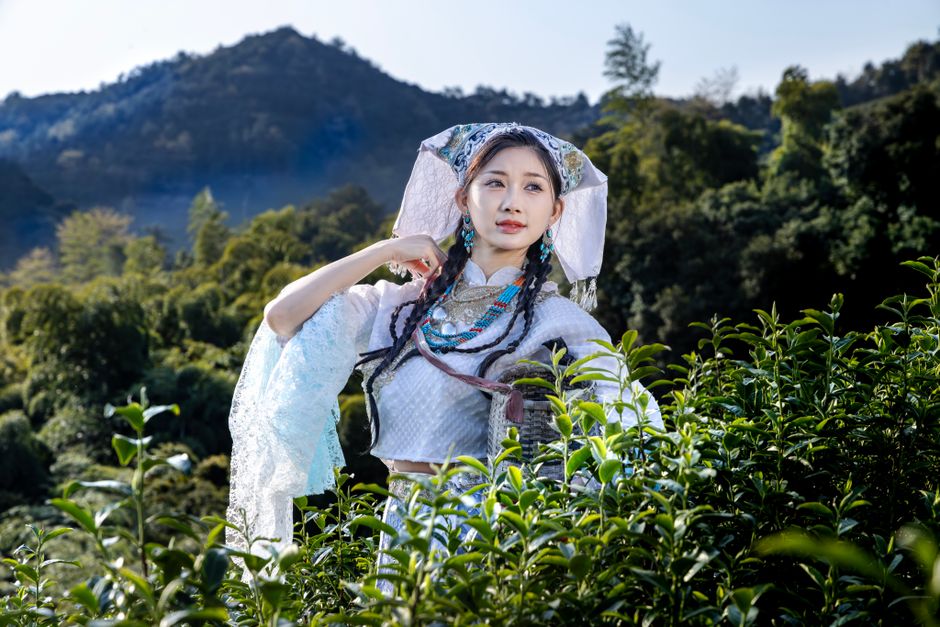 龙井茶哪个牌子最好相关图片