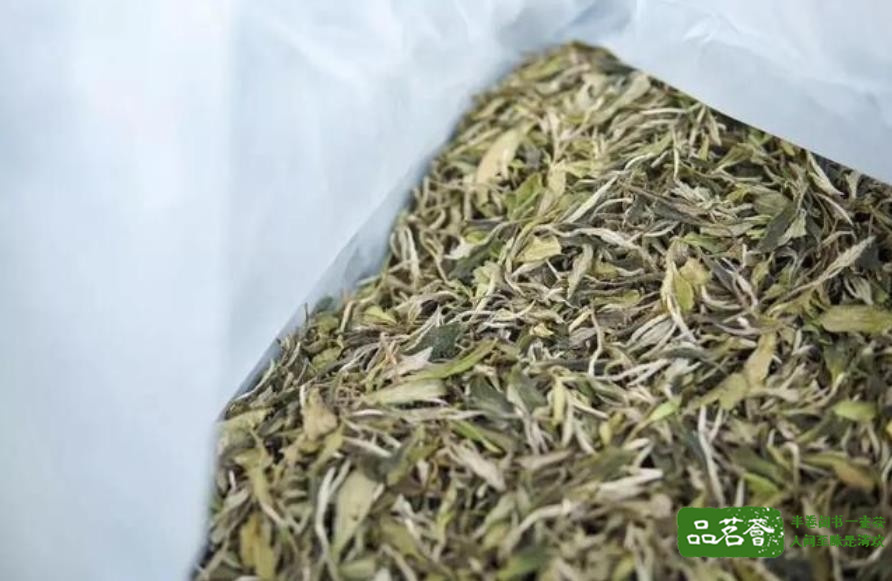 （上图为白牡丹新茶~昵茶网茶叶百科）