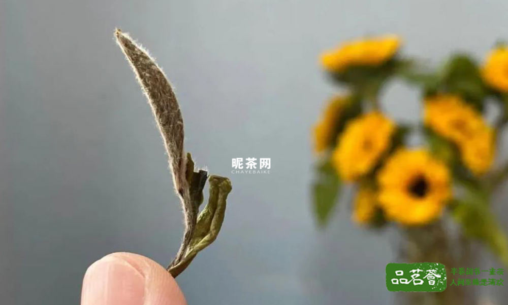 （荒野白牡丹2020，昵茶网茶叶百科）