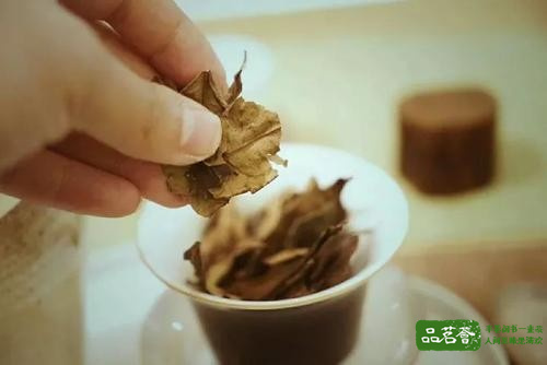 红枣老白茶的功效与作用