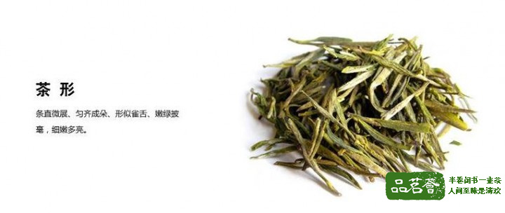 霍山黄芽茶叶的功效与作用有哪些？