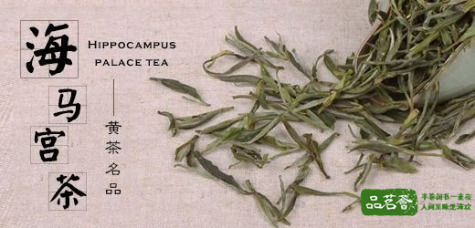 海马宫茶属于什么茶