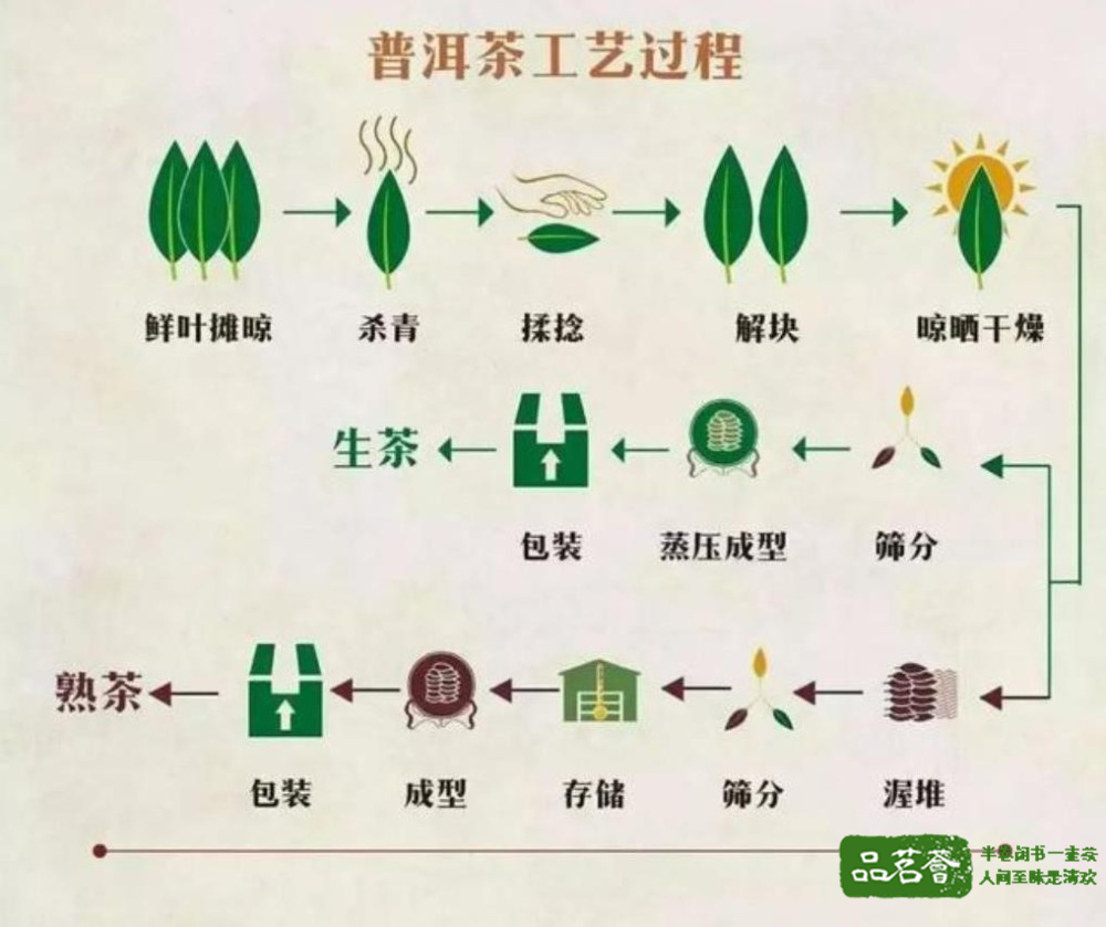 ▲普洱生茶和熟茶的制作流程图~昵茶网