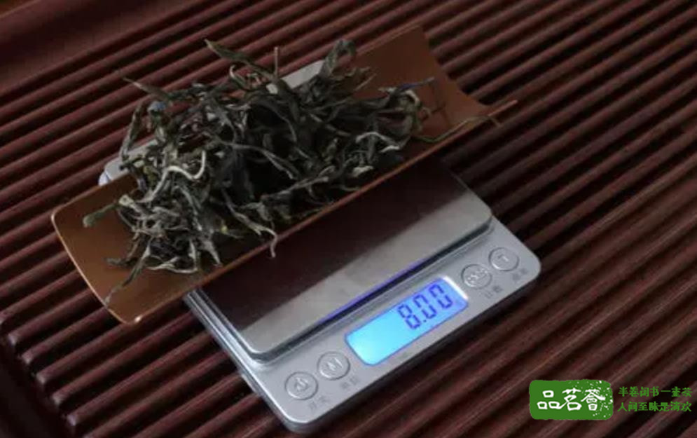 普洱生茶投茶量是多少