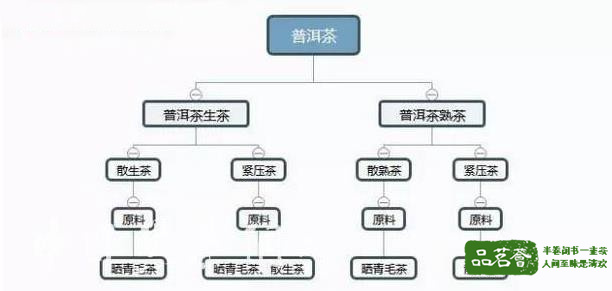 普洱生茶和熟茶的区别有哪些