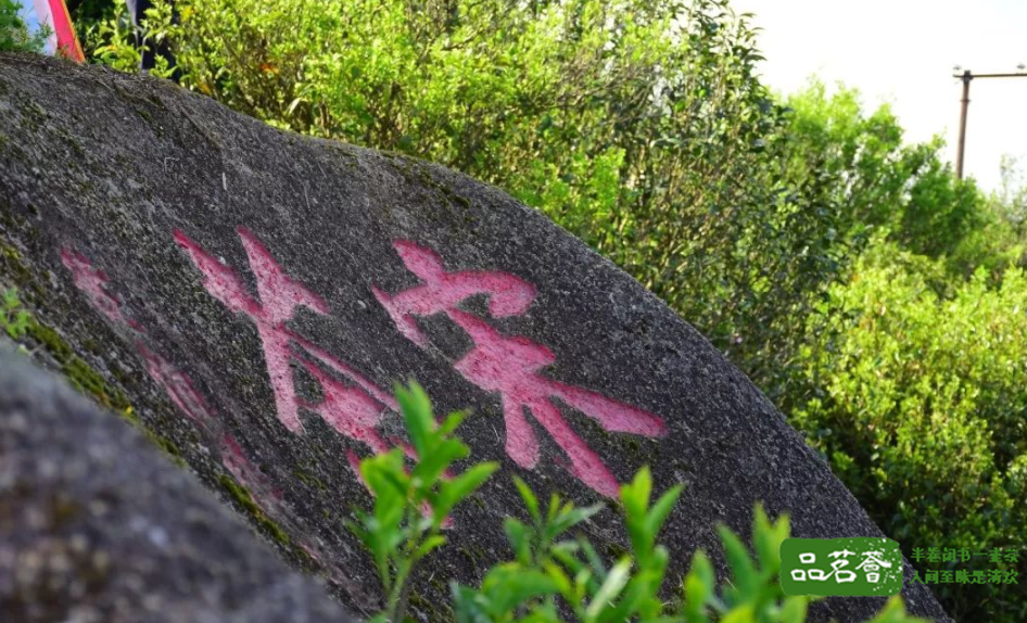 凤凰单丛的高山茶、中山茶、低山茶是怎么判断的