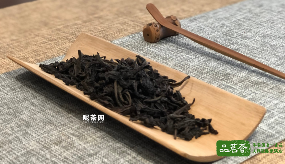 大红袍能不能煮茶