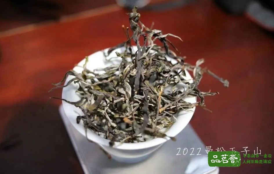 曼松普洱茶的特点