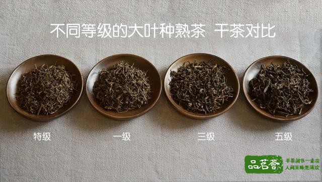 注：宫廷这个词在国家标准和茶叶审评术语中是没有的，它是一个市场衍生等级术语。