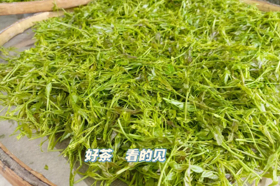 原料-藤本植物