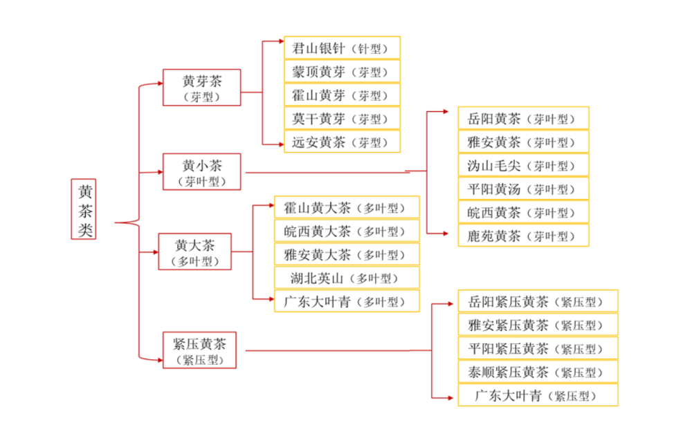 黄茶品类分类