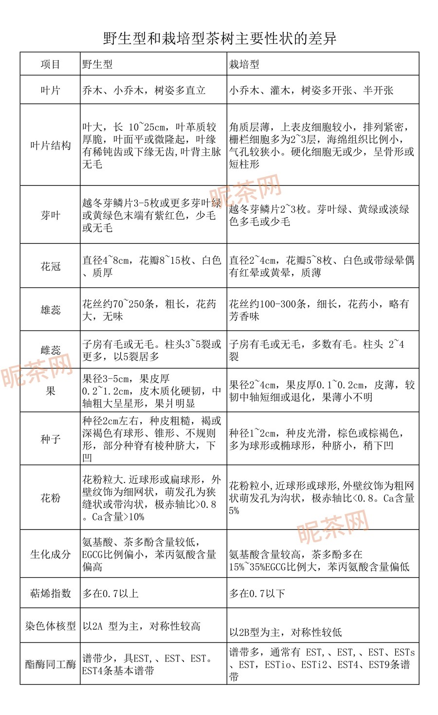 野生型和栽培型茶树主要性状的差异分析