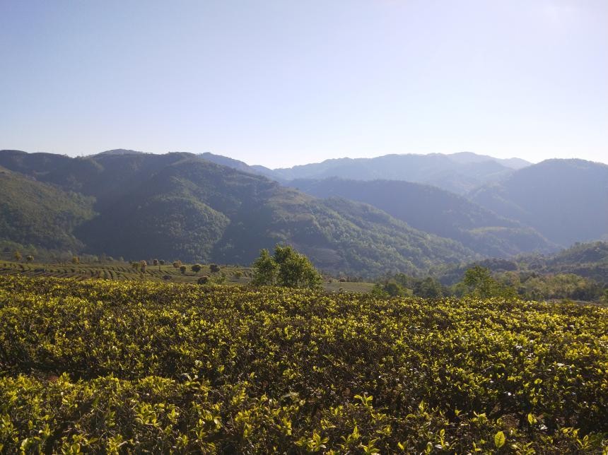 镇康县——马鞍山