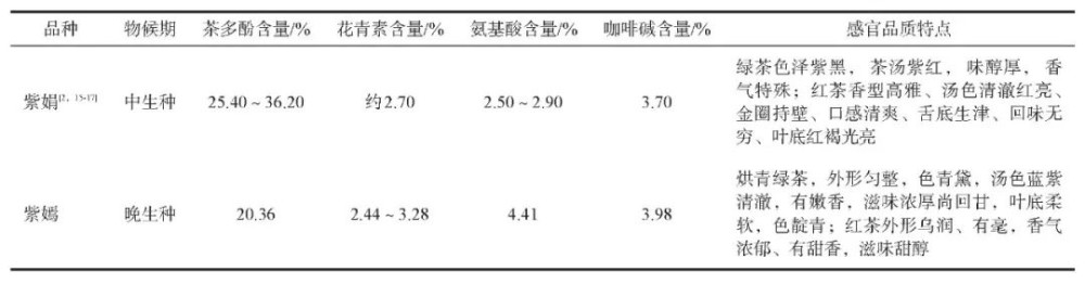 紫芽茶树品种的物候期、主要功能成分含量及品质特点