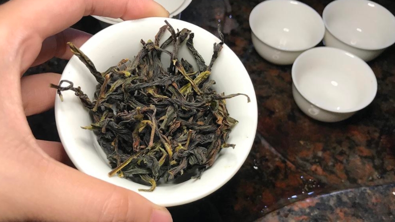 鸭屎香属于什么茶类_鸭屎香是什么茶