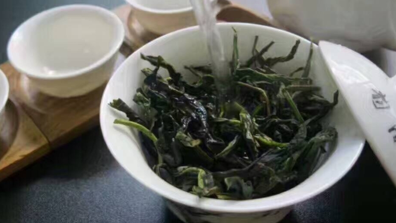 鸭屎香是什么茶功效_鸭屎香茶的功效与作用