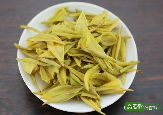 广东大叶青茶是什么茶，属于什么茶类