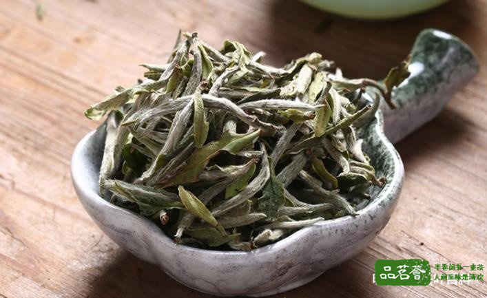 白茶的起源地与历史发展