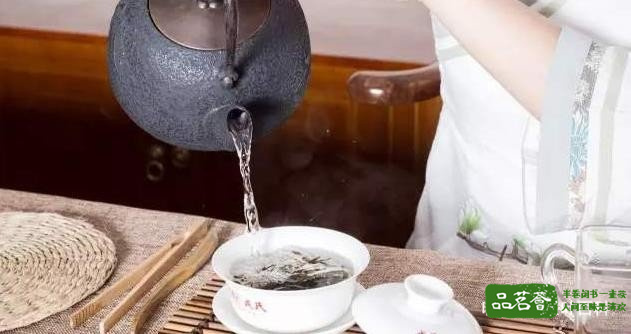普洱茶的茶艺表演冲泡步骤