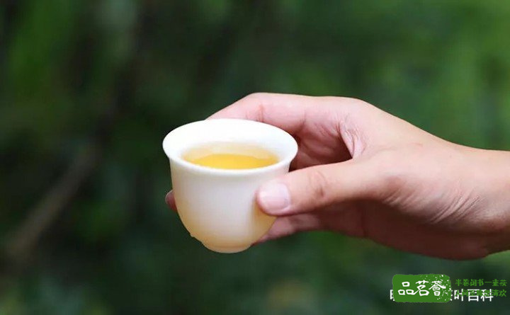 茶人茶语：茶圈暗语大全