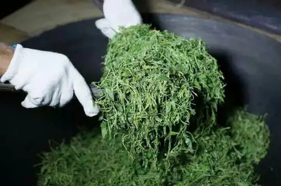 莓茶的功效与作用及禁忌有哪些_莓茶的功效与作用及禁忌有哪