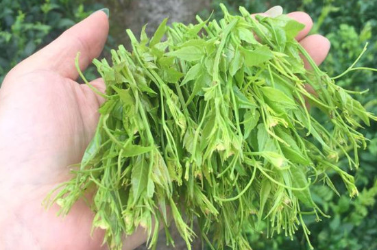 莓茶每天喝多少合适