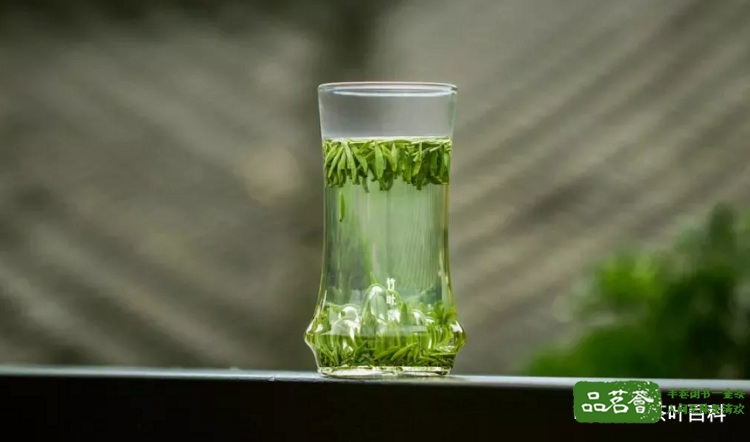 竹叶青茶用多少度的水泡合适