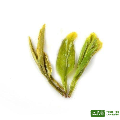 南京雨花茶历史文化