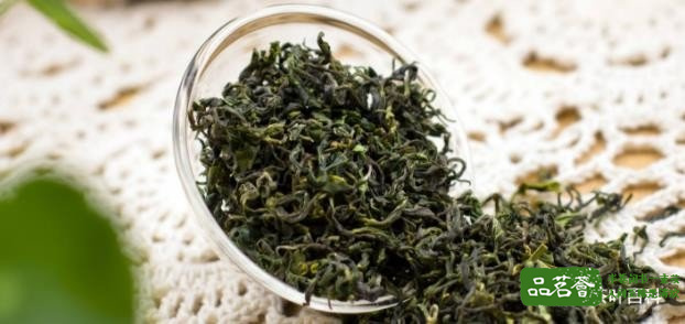 日照绿茶多少钱一斤，山东日照绿茶价格表