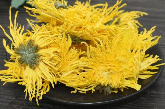 去火胎菊好还是金丝皇菊好_金丝皇菊和胎菊哪个好