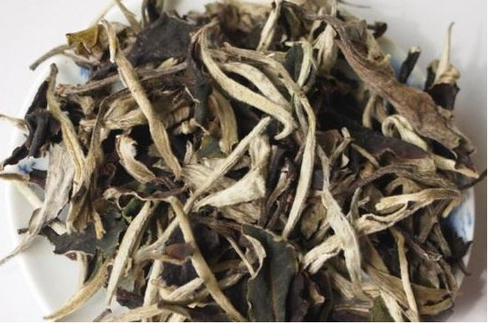 月光美人属于什么茶多少钱一斤_月光美人属于什么茶多少钱一