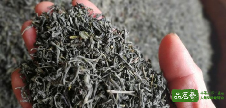 龟山岩绿茶怎么样？龟山岩绿茶的品质特点和简介
