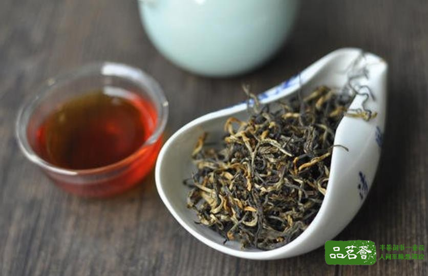 英德红茶有什么品种
